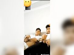 Two straight Arabian