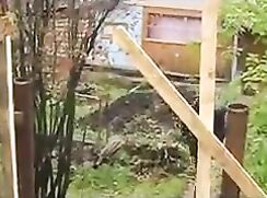 Three cute Russians get Horny.