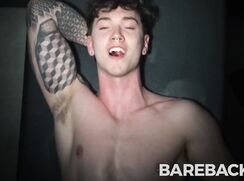 Stud Loads Vol 7 Breeding Wall Adam Snow Canyon Cole Felix Train