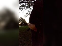 AHV - Public wank, moan and cum outside