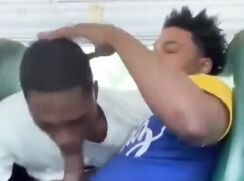 Cuns on a Bus 222.mp4