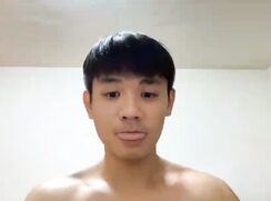 Foxfoxfox4_2026-02-23