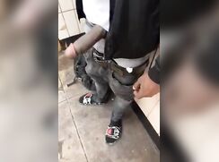 Fun on the subway platform