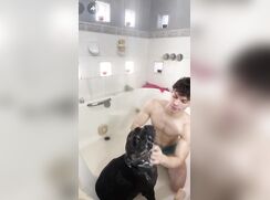 gay twink on underwear wash dog