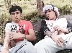 I'm not sure what's going on here, besides two horny bros hanging out outside strokin