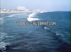 Vintage USA porn: 'The Summer of Scott Noll'