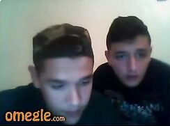 Webcam Bros 3