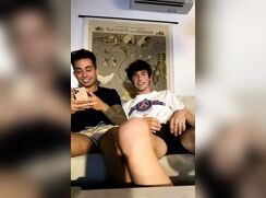 cuties frenchies friends getting fun