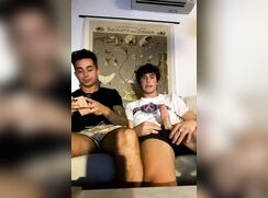 cuties frenchies friends getting fun