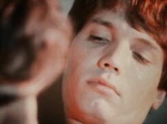 Vintage USA porn: 'A Family Affair'