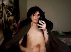 Catboy600 (2026-02-19)