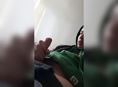 Kitten in hoodie wanks