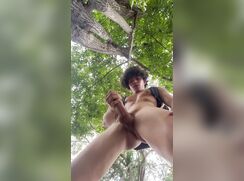 #TA - 0030 A warm summer day in the forest