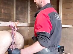 Milking machine tied balls