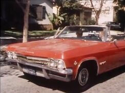 A beach with many pleasures