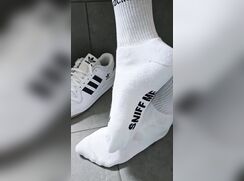 000 Sneaks and sox love 9994