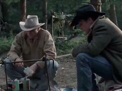 D4S Brokeback Mountain