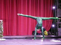 Flexible Glitter Boy (nn)
