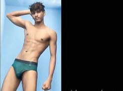 Desi/Indian flashing dick