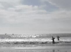 A weekend at the beach hotel