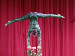 Flexible Glitterboy continued (nn)