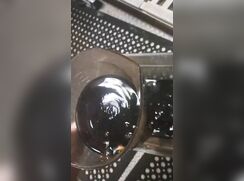 Spit in customers food