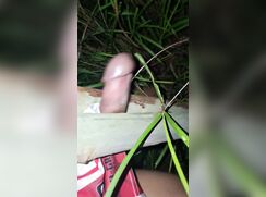 No need for a blowjob, fuck a tree instead.