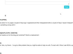 Turning the 404 Blog into a fully fledged ticket system (Tampermonkey)