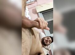 pzds naeer