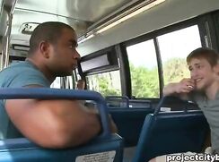 City Bus Interracial Sex