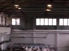 Fuck Motor Police