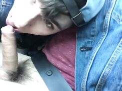 Il suce son copain qui conduit oral sex