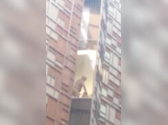 Dad & Son Spotted By Window
