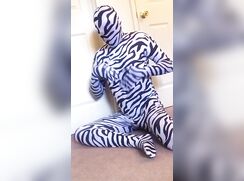 Black and white zebra zentai - Zentai1