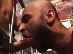 eurocreme - Bulldog - Butt Sluts 1