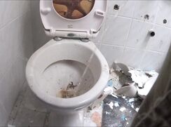 two friends pissing together in a toilet in an abandoned house