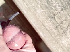 Dumb slave busts tied balls tell him hes a loser snaps in comment