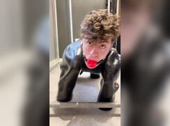 Treat him like a dog
