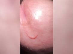 Hot closeup of baited Latino's tip