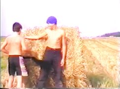 Tied to Haystack