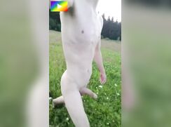 SW - Stiff blonde cock in a grass field