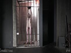 dehumanizing slave butters 1