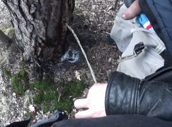 my twink friend holding my pissing cock behind a tree and crossing streams