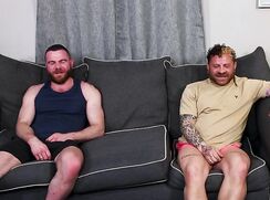 Two Bears Having Fun