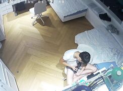 GV 监控3 IPcam