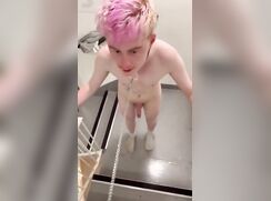 The dog on a leash