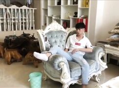 Asian boys house of sex