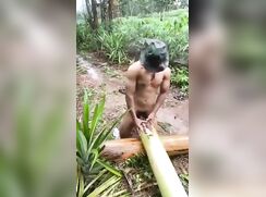 Fucking a bamboo tree in the woods