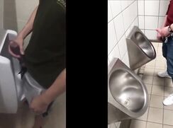 The toilets PMV