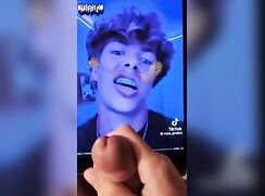 tiktok boy tributed
